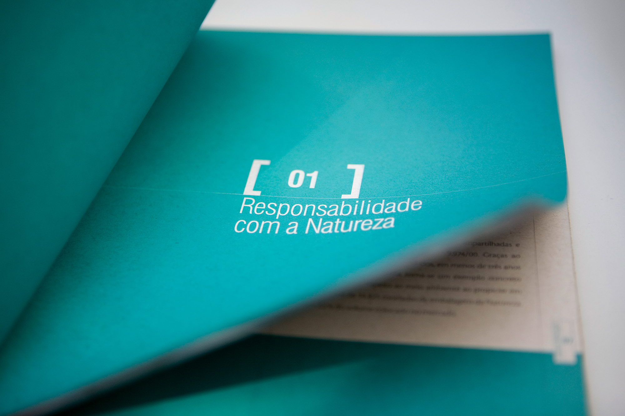 O atributo alt desta imagem estÃ¡ vazio. O nome do arquivo Ã© INPEV_2004_05.jpg